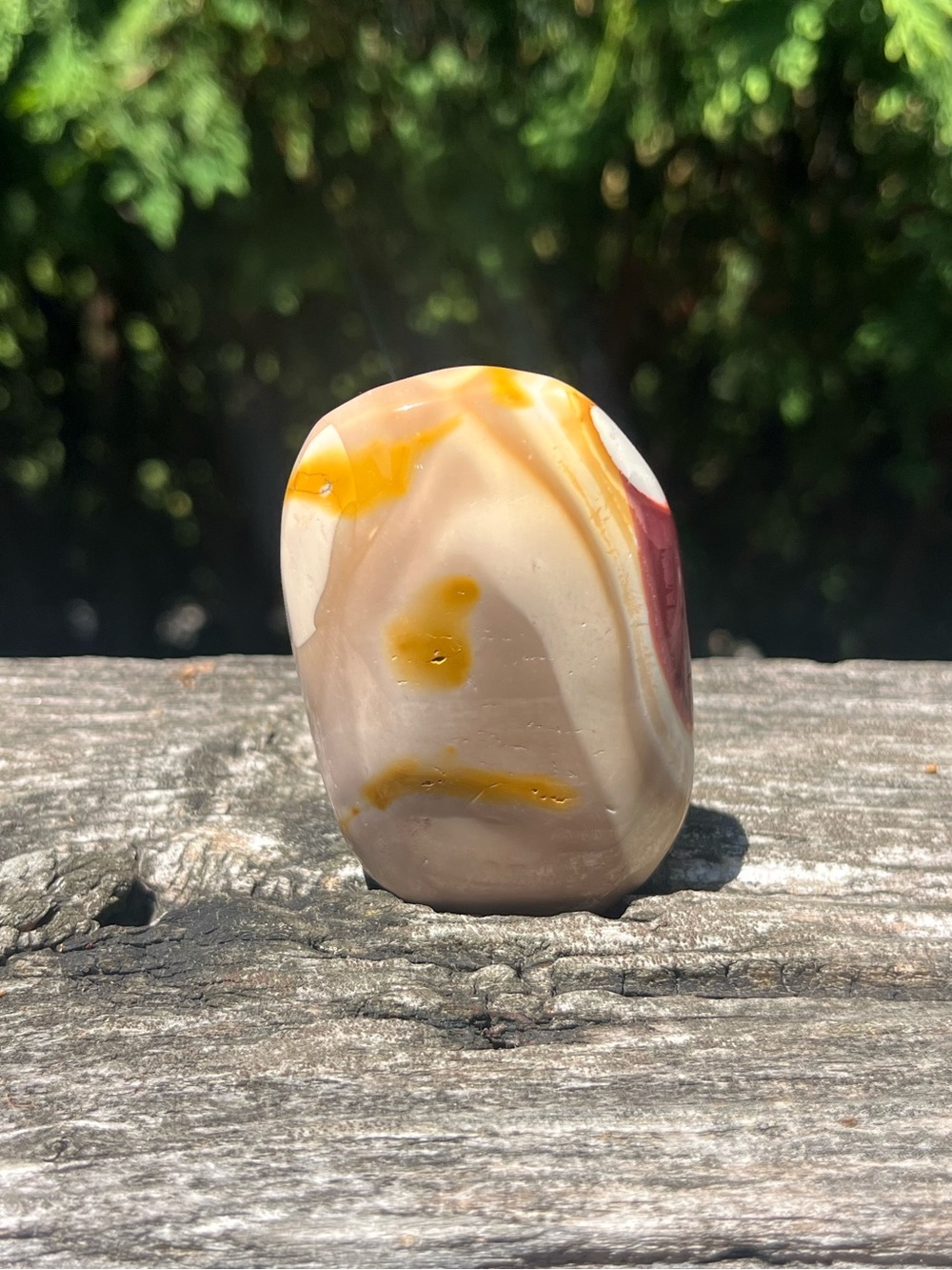 Polished Mookaite Palm